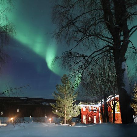 Cozy Stuga - Mountain View Ramsele エクステリア 写真