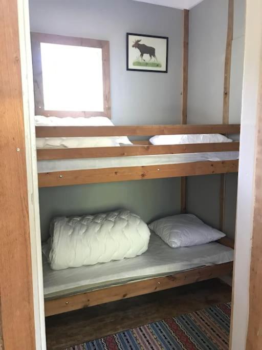 Cozy Stuga - Mountain View Ramsele エクステリア 写真