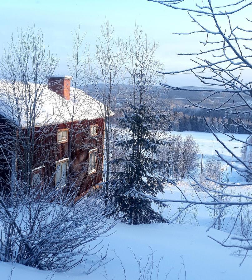 Cozy Stuga - Mountain View Ramsele エクステリア 写真
