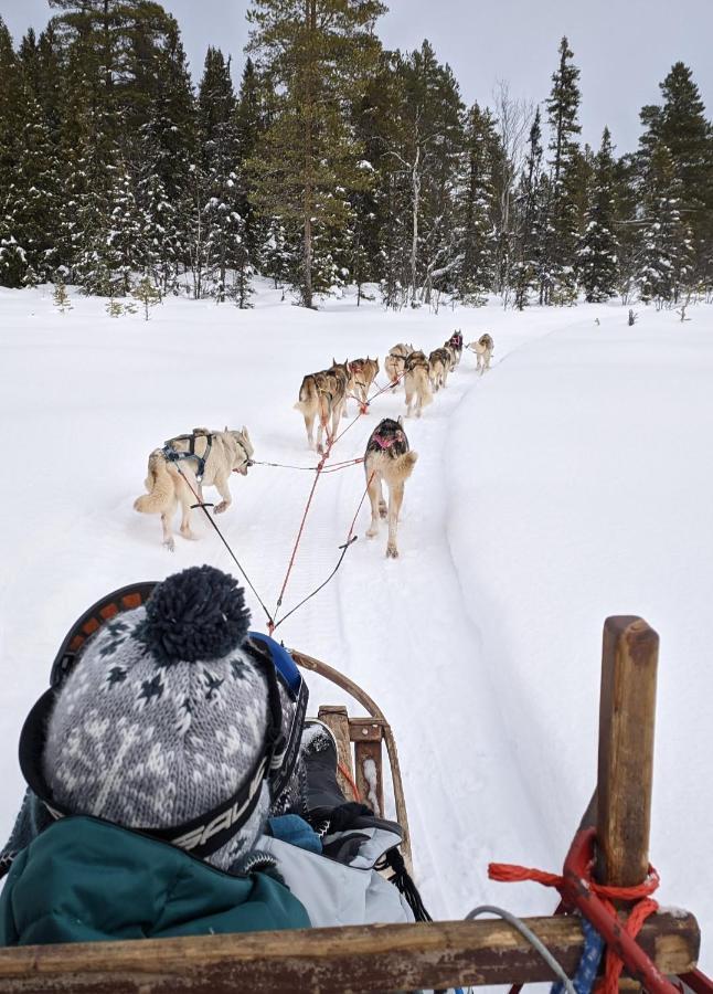 Cozy Stuga - Mountain View Ramsele エクステリア 写真