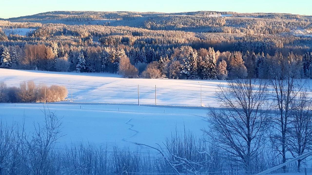 Cozy Stuga - Mountain View Ramsele エクステリア 写真