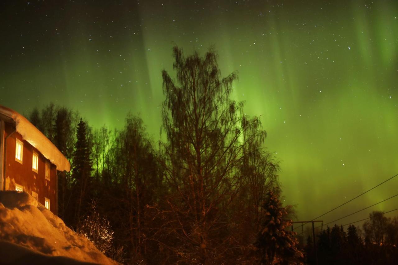 Cozy Stuga - Mountain View Ramsele エクステリア 写真