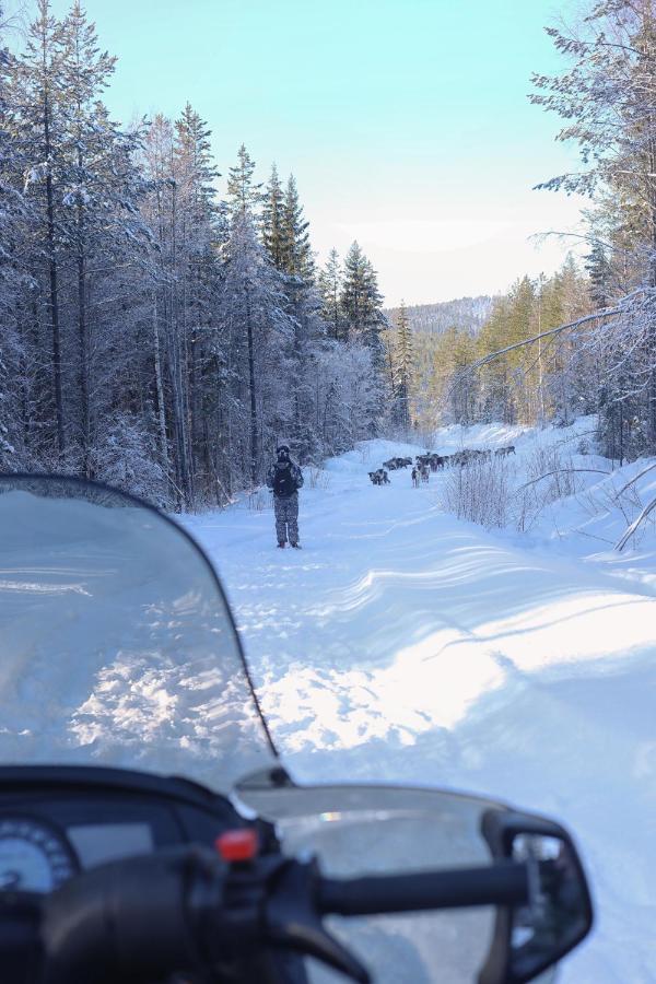 Cozy Stuga - Mountain View Ramsele エクステリア 写真