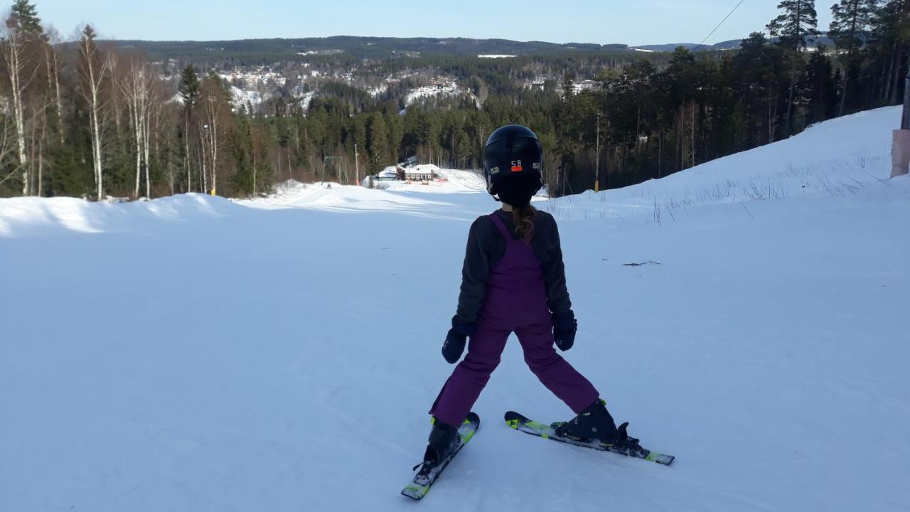Cozy Stuga - Mountain View Ramsele エクステリア 写真