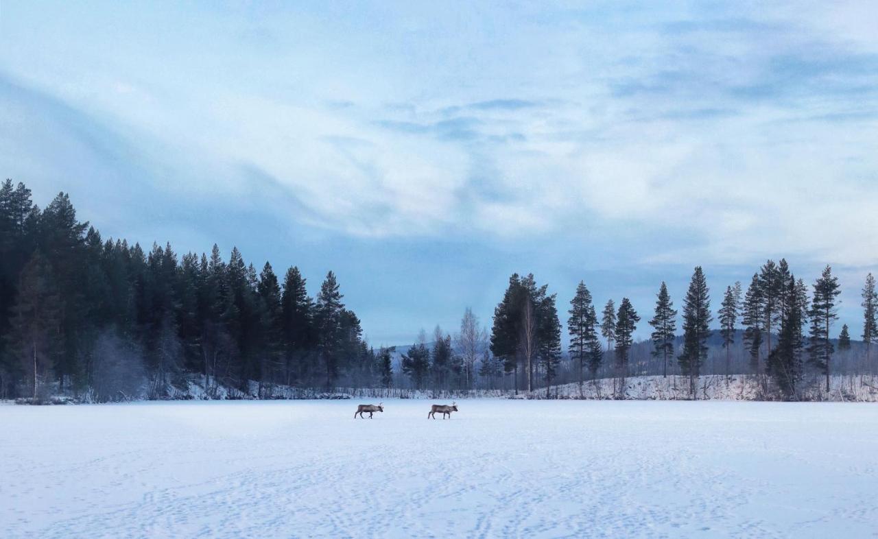 Cozy Stuga - Mountain View Ramsele エクステリア 写真