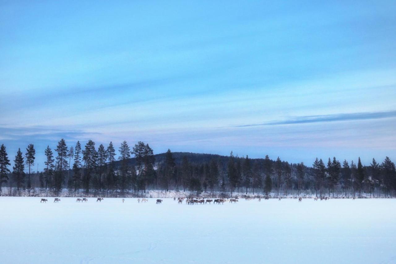 Cozy Stuga - Mountain View Ramsele エクステリア 写真
