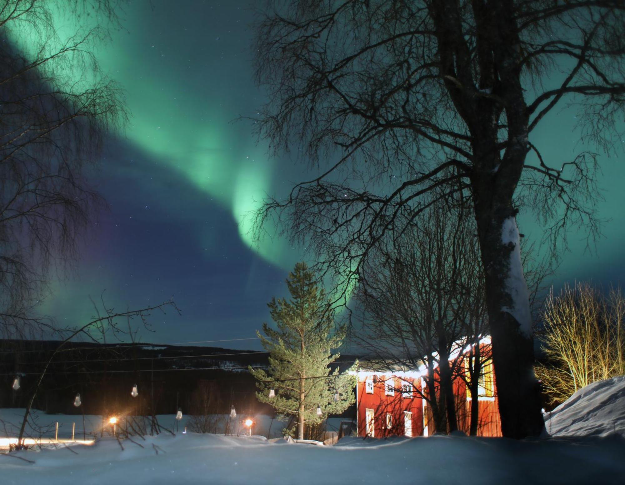 Cozy Stuga - Mountain View Ramsele エクステリア 写真