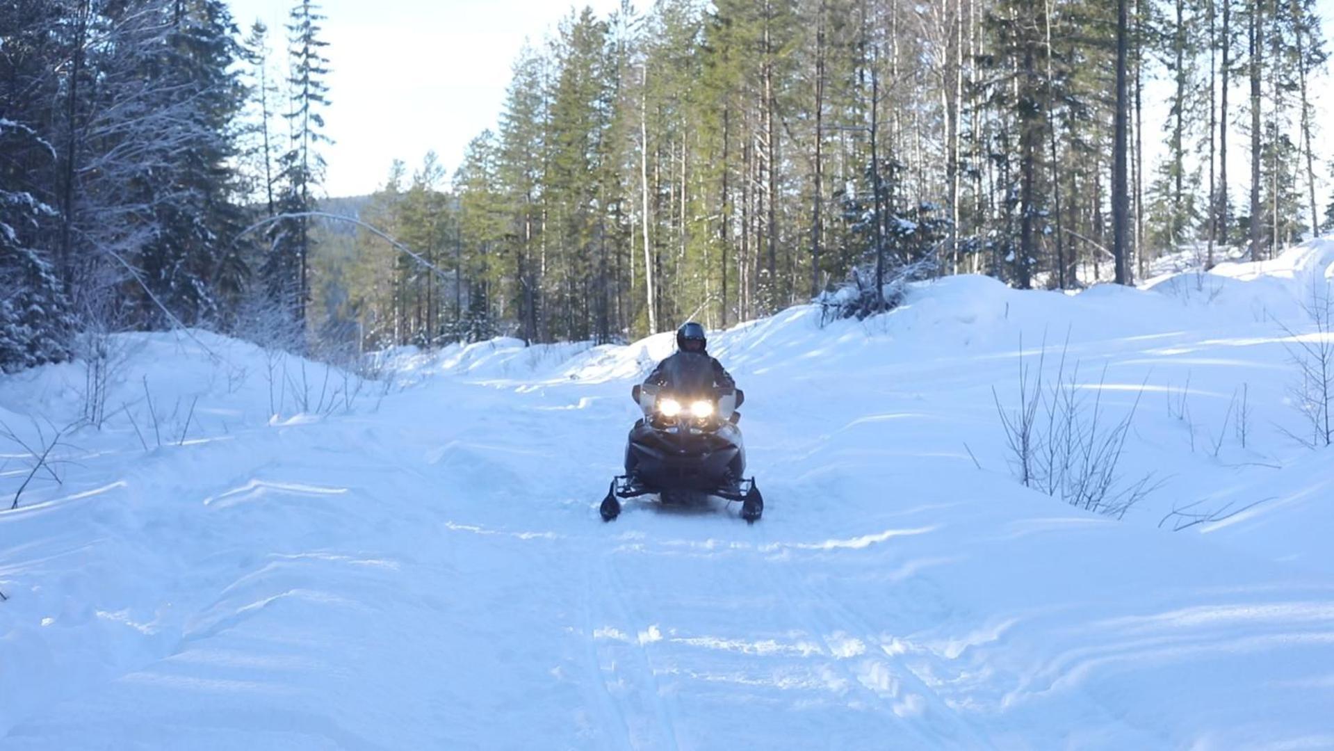 Cozy Stuga - Mountain View Ramsele エクステリア 写真