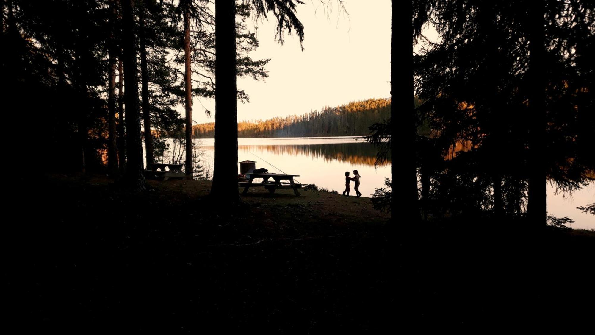Cozy Stuga - Mountain View Ramsele エクステリア 写真