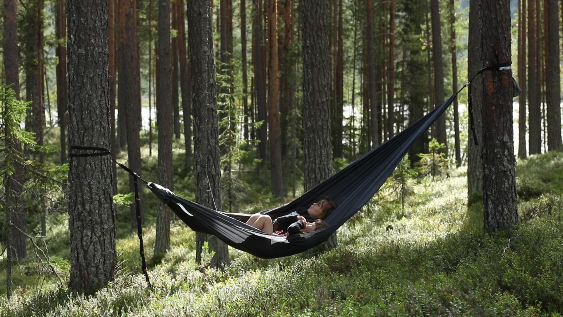 Cozy Stuga - Mountain View Ramsele エクステリア 写真